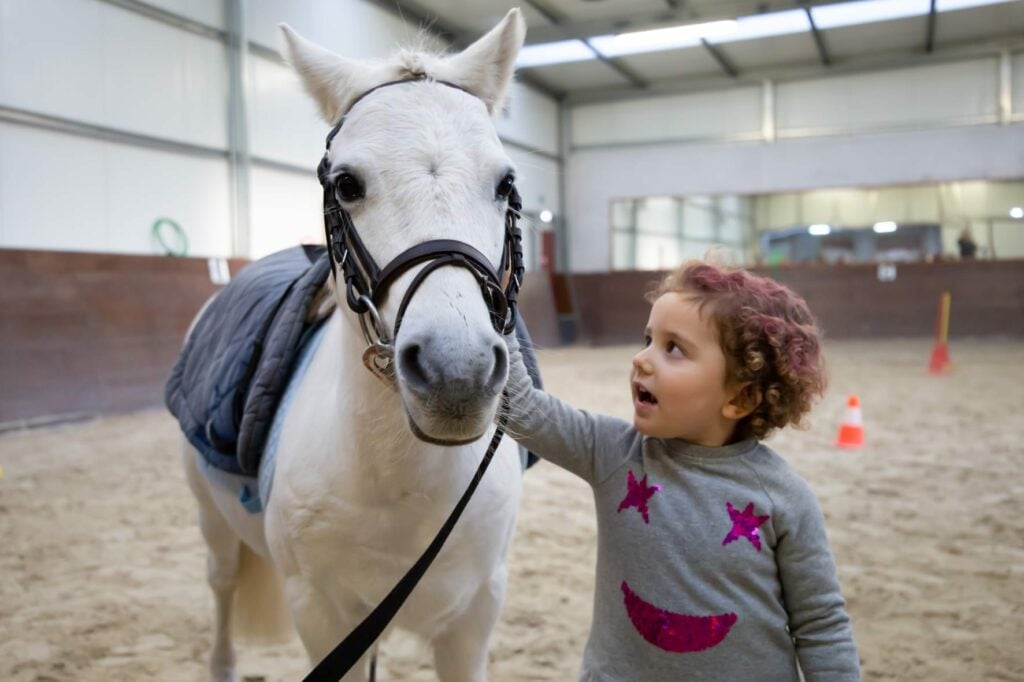 pony club do porto