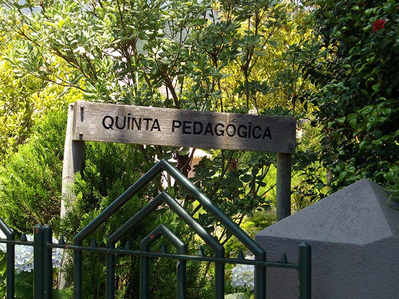 Quinta Pedagógica dos Prazeres-1