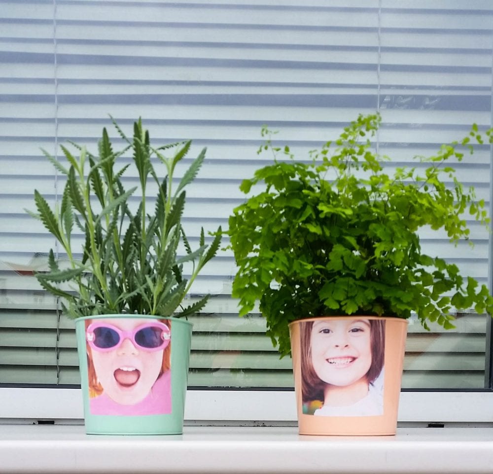 vasos decorativos e personalizados