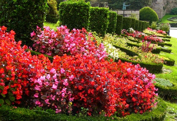 Jardim Dr. Adelino Sampaio