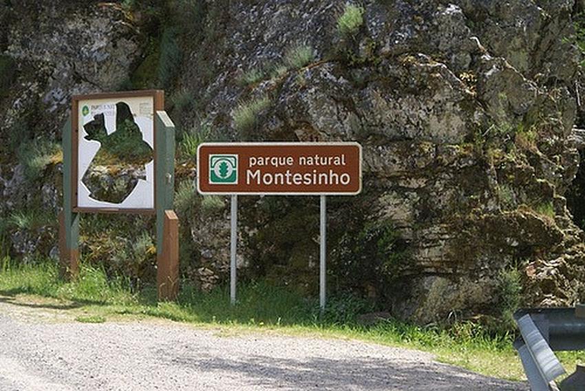 Montesinho