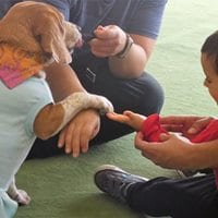 Sessão natalícia de ginástica e interação com cães no Porto