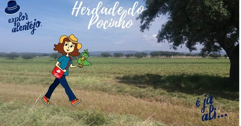 Vamos Explorar o Pocinho