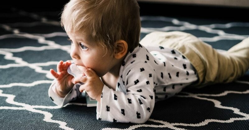 Como será que os bebés de seis meses compreendem as palavras?