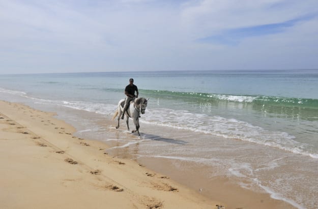 Cavalos na Areia