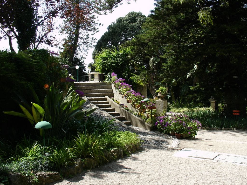 Jardim Botânico MonteiroMor conhecem este jardim incrível? Pumpkin.pt