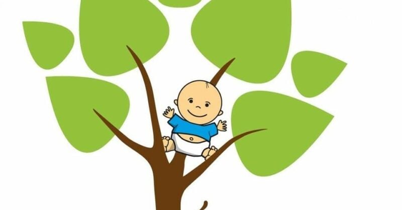 O Livro e o Bebé