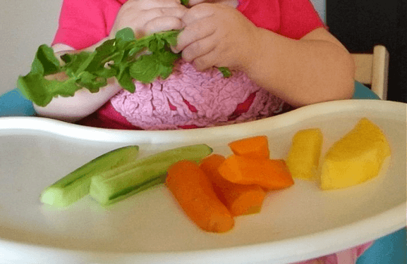 Baby Led Weaning