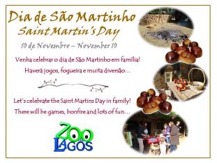 Dia de São Martinho no Zoo de Lagos 